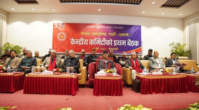एमालेको पहिलो केन्द्रीय कमिटी बैठकले के–के गर्‍यो निर्णय ?