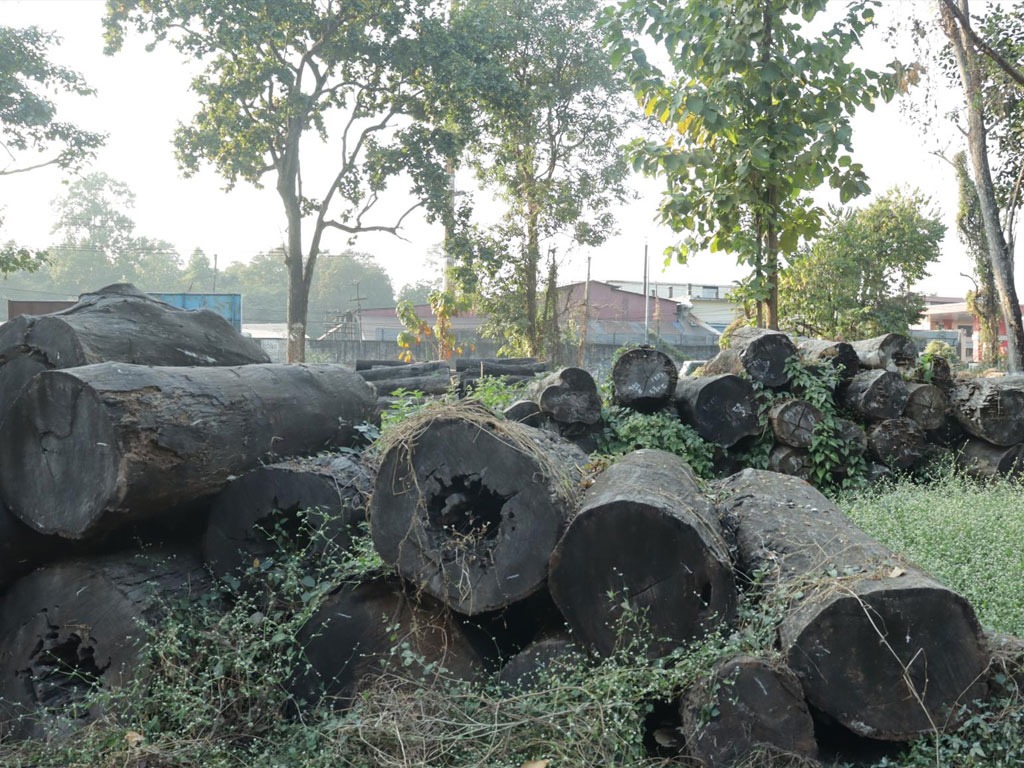 सामुदायिक वन क्षेत्रबाट अवैध काठ बरामद
